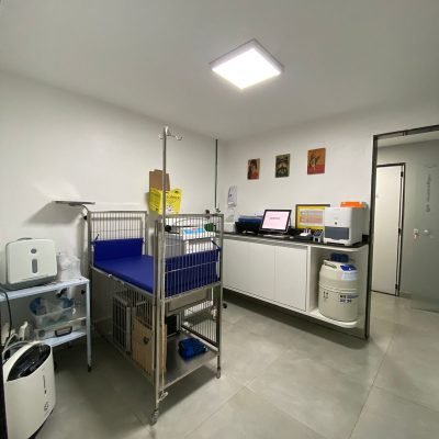 3286128d-5ed7-42f2-a6f7-1fa9c4949285