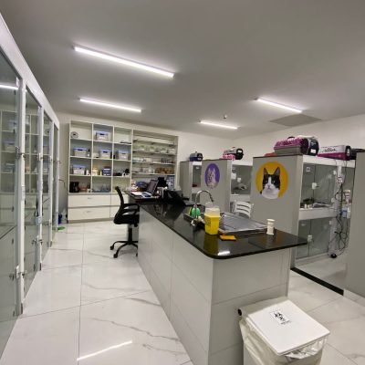 5787d11e-7abe-49bd-aeaf-e5dd235bb3de