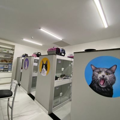 5e7a8b9e-a7cb-43f1-a07f-24c0997b125b