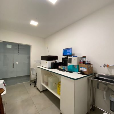 646b7c1b-91c5-4609-b1c7-dbafd9e4d994