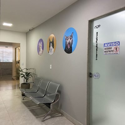 707e3a04-89f2-4c8a-9082-73083d75f85e