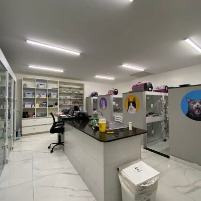 79e32de4-02c2-4540-b26e-d2f5630e4804