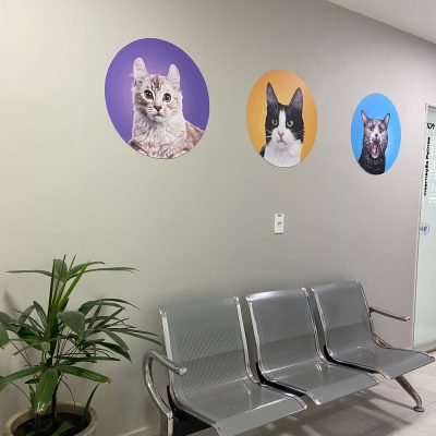 b6e7e07a-2de2-46ac-a260-247bcc935e55